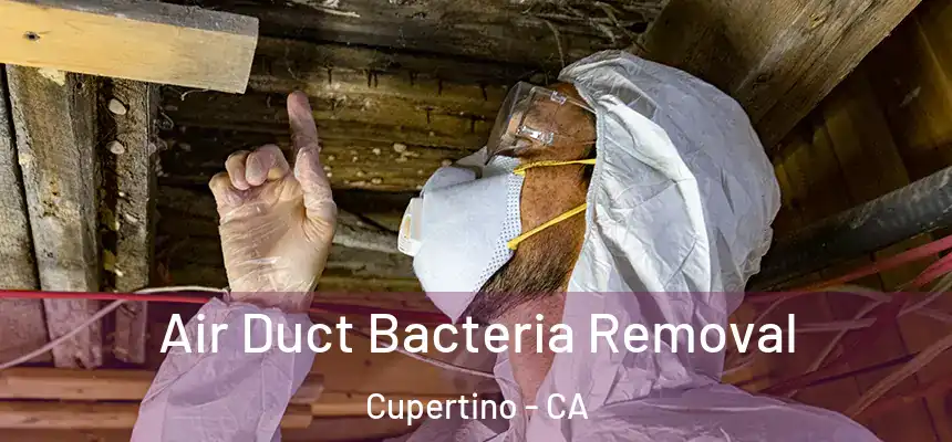 Air Duct Bacteria Removal Cupertino - CA