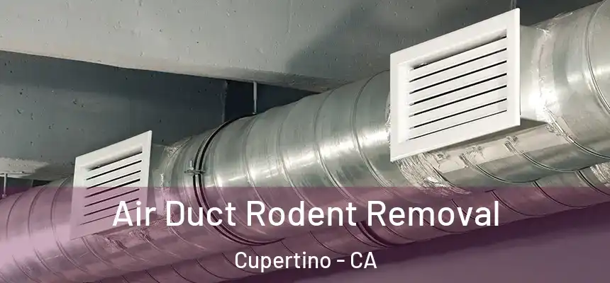 Air Duct Rodent Removal Cupertino - CA