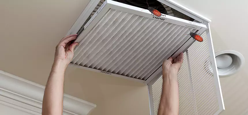 Preventive Cockroach-Proofing for Ducts in Cupertino