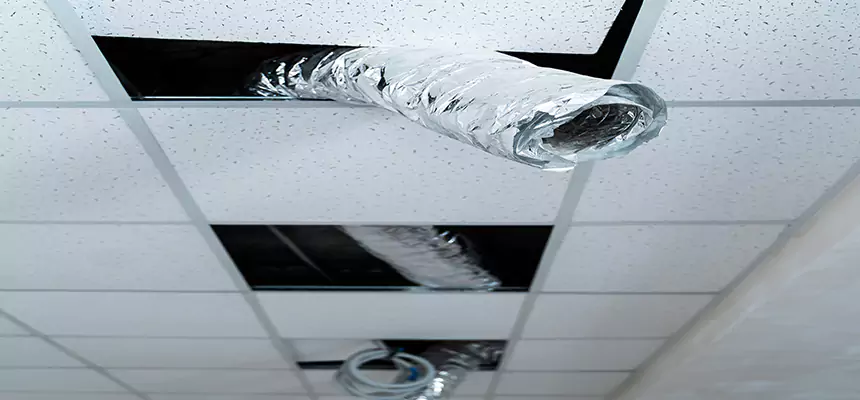 Our Air Duct Pet Hair Removal Services in Cupertino, CA