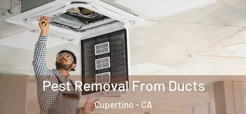  Pest Removal From Ducts Cupertino - CA