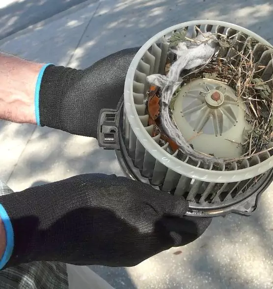 About Air Duct Mice Removal in Cupertino, CA