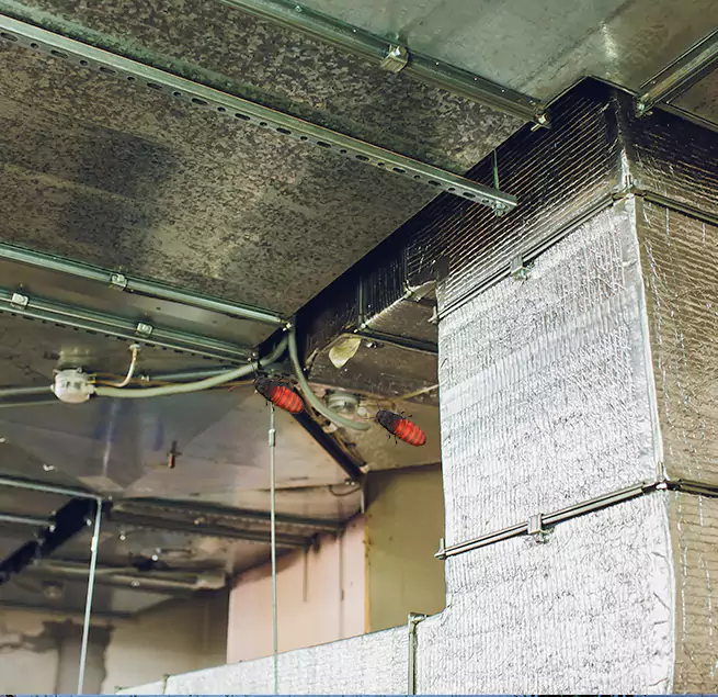 Why Homeowners & Businesses Trust Us in Cupertino, CA?