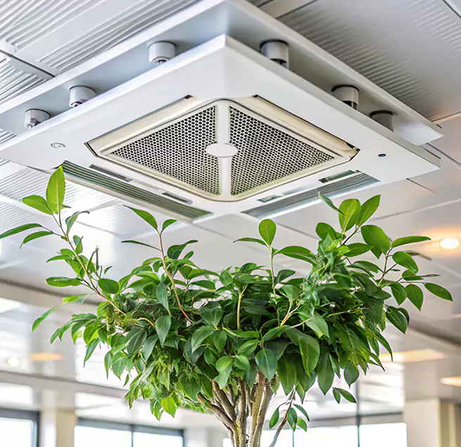 Why Homeowners & Businesses Trust Us in Cupertino, CA?