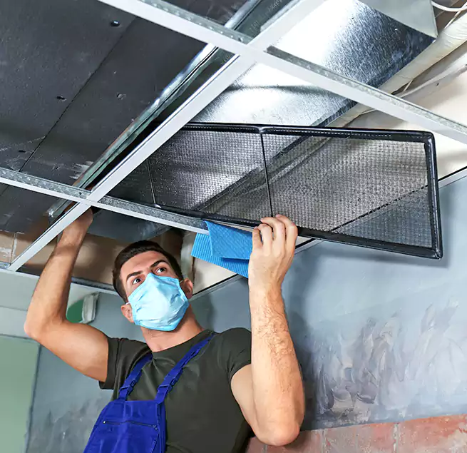 Why Homeowners Businesses Trust Us in Cupertino, CA